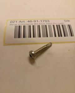 Screw drill M4.8X25 AW20 SST